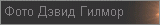 Фотографии Дэвида Гилмора
